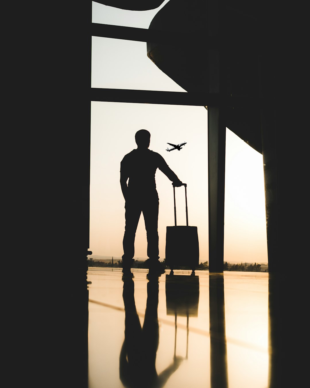 Services silhouette-of-man-holding-luggage-inside-airport-bmilykzhkmy